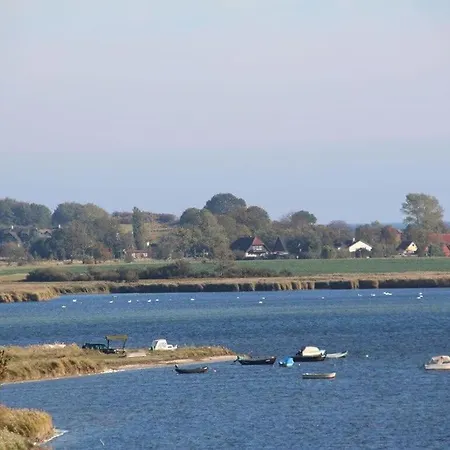 Koenigsstuhl Comfortable * 괴렌